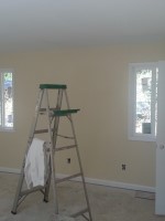 Atlanta Remodeling - Paint Work